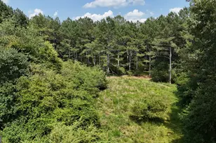 3729 Duncan Bridge Rd, Cornelia, GA 30531 - Photo 48