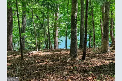 51 Mountain Park Boulevard, Cleveland, GA 30528 - Photo 20