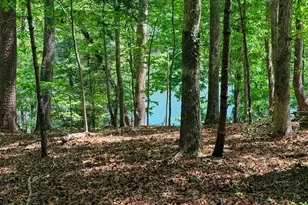 51 Mountain Park Blvd, Cleveland, GA 30528 - Photo 20
