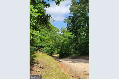 355 Chuli Road, Locust Grove, GA 30248 - Photo 8
