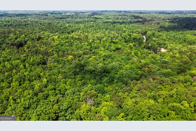355 Chuli Road, Locust Grove, GA 30248 - Photo 1
