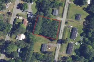 0 Jim Truesdell Rd, Darien, GA 31305 - Photo 1