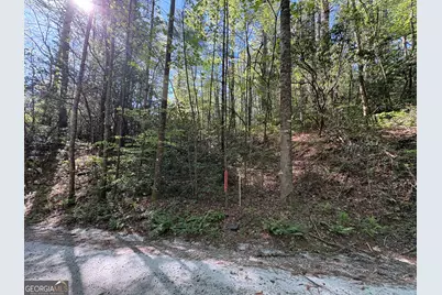 0 Western Way, Rabun Gap, GA 30568 - Photo 4