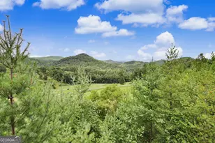 394 Bent Grass Way, Clayton, GA 30525 - Photo 48