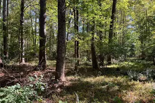 5334 Pounds Dr N, Stone Mountain, GA 30087 - Photo 4