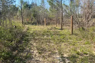 1229 Pierce Rd, Waverly Hall, GA 31831 - Photo 32
