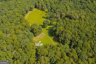 196 Creek Camp Rd, Ellijay, GA 30536 - Photo 44
