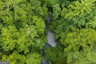 196 Creek Camp Rd, Ellijay, GA 30536 - Photo 50