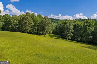 196 Creek Camp Rd, Ellijay, GA 30536 - Photo 46