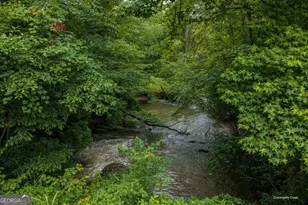 196 Creek Camp Rd, Ellijay, GA 30536 - Photo 42