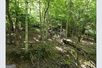 0 Bald Eagle Path, Cleveland, GA 30528 - Photo 6