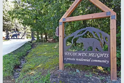 0 Bald Eagle Path, Cleveland, GA 30528 - Photo 2