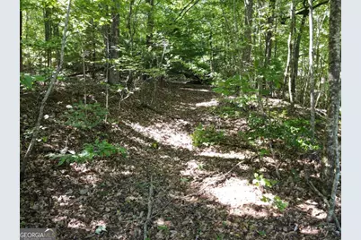 0 Bald Eagle Path, Cleveland, GA 30528 - Photo 12