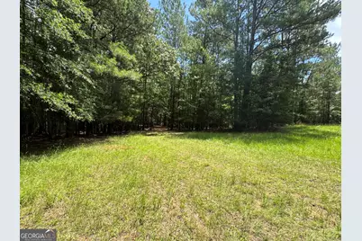 2 Roy Lawrence Road, Sparta, GA 31087 - Photo 4