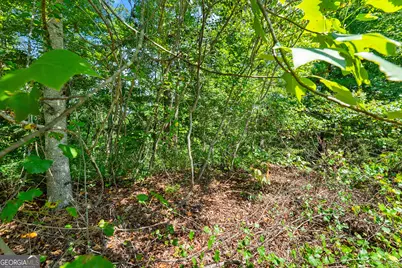 0 Flat Rock Point, Dahlonega, GA 30533 - Photo 8