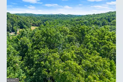 0 Flat Rock Point, Dahlonega, GA 30533 - Photo 22