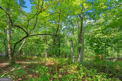 0 Flat Rock Point, Dahlonega, GA 30533 - Photo 10