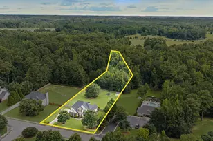 277 Silverbell Ln, Sharpsburg, GA 30277 - Photo 46