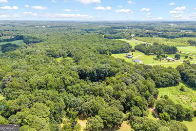 2328 Hwy 29 N, Danielsville, GA 30633 - Photo 52