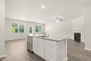 162 White Spruce Way, Newnan, GA 30265 - Photo 8