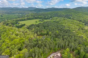 435 Dogwood Way, Blue Ridge, GA 30513 - Photo 70