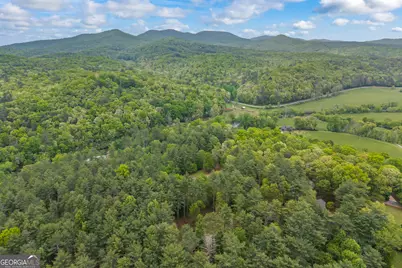 435 Dogwood Way, Blue Ridge, GA 30513 - Photo 66