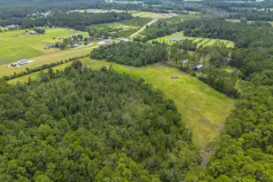 5486 Bowen Rd, Blackshear, GA 31516 - Photo 52