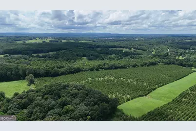 Lot 1 Stateline Road, Bowdon, GA 30108 - Photo 4