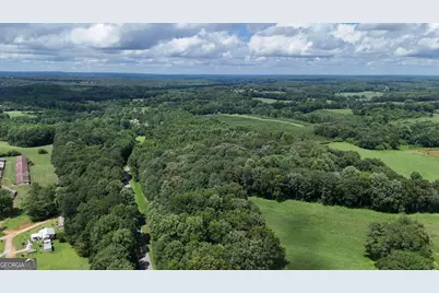 Lot 1 Stateline Road, Bowdon, GA 30108 - Photo 10