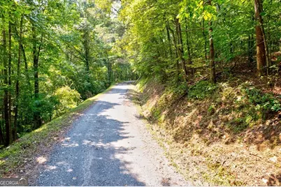 0 Shady Lane, Mineral Bluff, GA 30559 - Photo 12