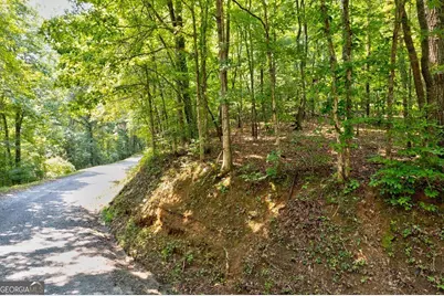 0 Shady Lane, Mineral Bluff, GA 30559 - Photo 8