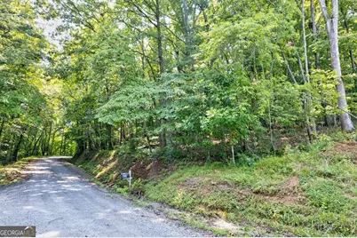 0 Shady Lane, Mineral Bluff, GA 30559 - Photo 4