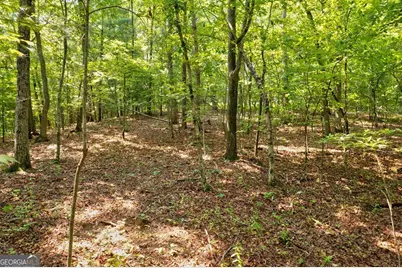 0 Shady Lane, Mineral Bluff, GA 30559 - Photo 10