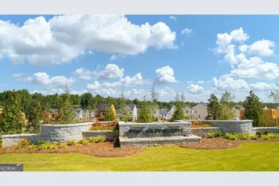 163 White Spruce Way, Newnan, GA 30265 - Photo 4