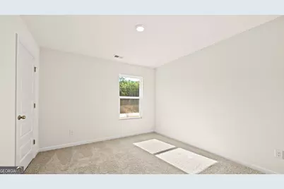 163 White Spruce Way, Newnan, GA 30265 - Photo 24
