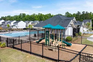163 White Spruce Way, Newnan, GA 30265 - Photo 8
