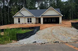 00 River Birch Ln, Colbert, GA 30628 - Photo 1