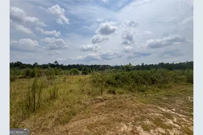 0 Rose Hollow Road, Lyons, GA 30436 - Photo 2