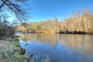 315 River Retreat Rd, Blue Ridge, GA 30513 - Photo 50