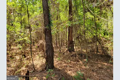 504 Old McElveen Road, Brooklet, GA 30415 - Photo 28