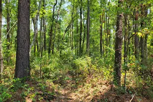504 Old McElveen Rd, Brooklet, GA 30415 - Photo 22