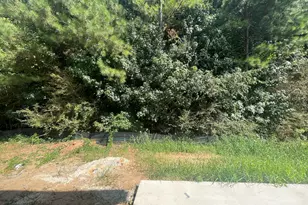 133 Hunts Ml Cir, Griffin, GA 30224 - Photo 4