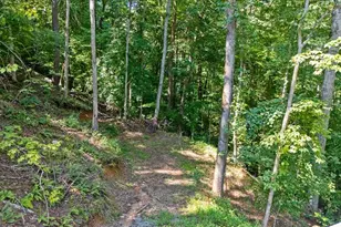 30 Chancel Cir, Ellijay, GA 30540 - Photo 54