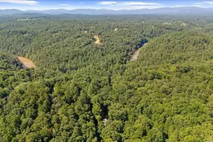 30 Chancel Cir, Ellijay, GA 30540 - Photo 50