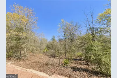 0 Mixon Lane, Douglas, GA 31535 - Photo 1