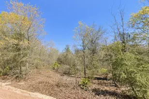0 Mixon Ln, Douglas, GA 31535 - Photo 1