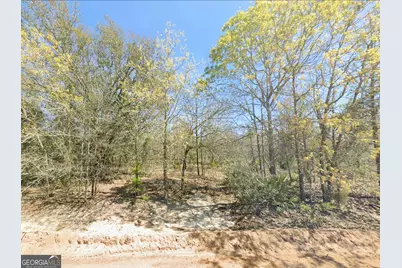 0 Mixon Lane, Douglas, GA 31535 - Photo 2