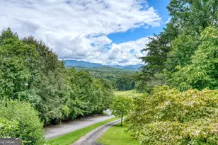1201 Owltown Rd, Blairsville, GA 30512 - Photo 2