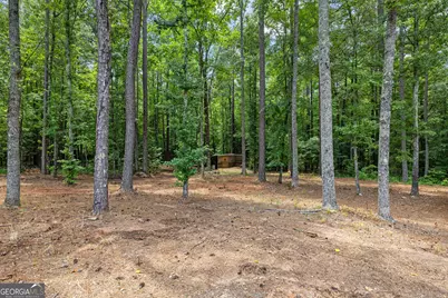 359 Trammell Road, Moreland, GA 30259 - Photo 106