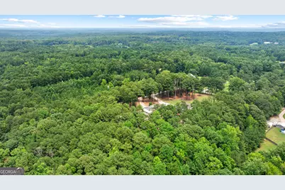359 Trammell Road, Moreland, GA 30259 - Photo 118